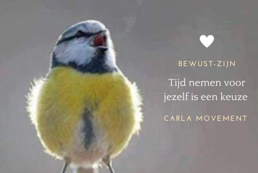 Thumbnail Training Bewust-ZIJN voor vrouwen