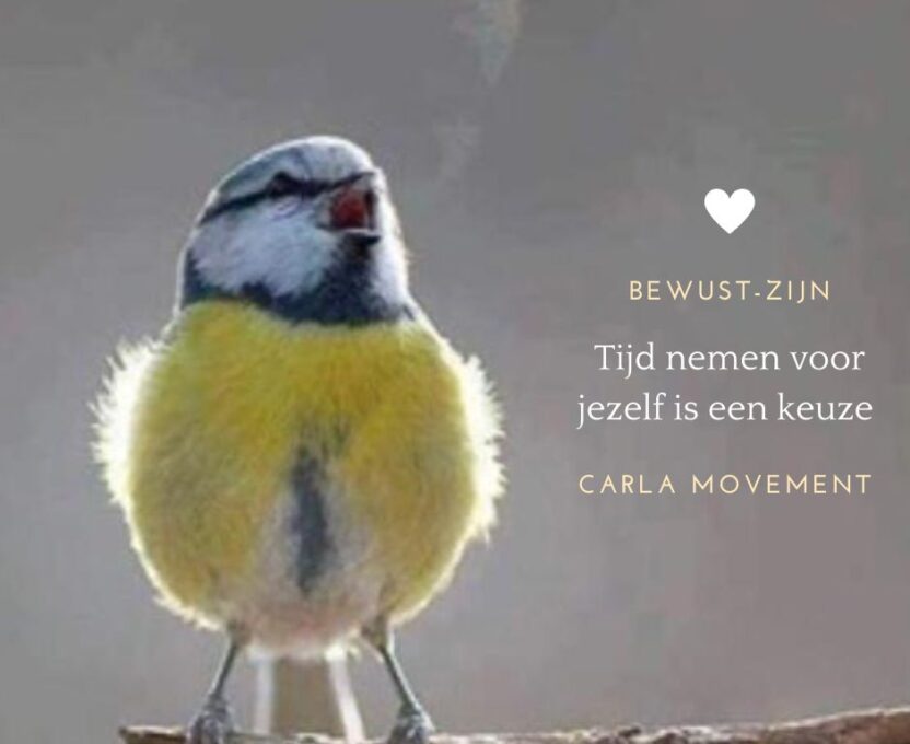 Thumbnail Training Bewust-ZIJN voor vrouwen