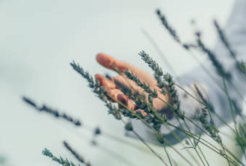 Thumbnail Diepe ontspanningssessie ‘Just Relax’ i.c.m. AromaTouch techniek van DoTerra