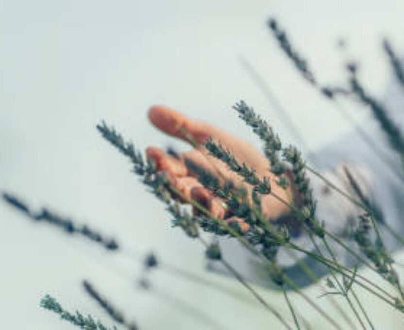 Thumbnail Diepe ontspanningssessie ‘Just Relax’ i.c.m. AromaTouch techniek van DoTerra